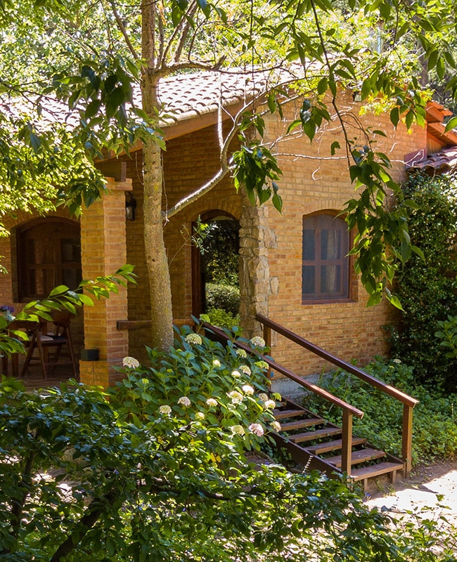 Cabaña Bosque